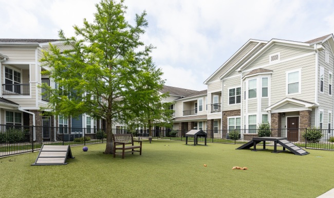 Dog park with agility course and trees